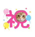 みらちゃい（個別スタンプ：21）