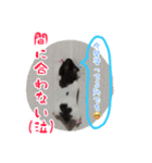 うしこ。（個別スタンプ：14）