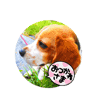 ココアちゃんねる2（個別スタンプ：4）