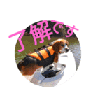 ココアちゃんねる2（個別スタンプ：8）