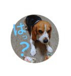 ココアちゃんねる2（個別スタンプ：11）