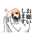ココアちゃんねる2（個別スタンプ：12）
