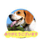 ココアちゃんねる2（個別スタンプ：14）