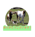 ココアちゃんねる2（個別スタンプ：15）