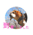 ココアちゃんねる2（個別スタンプ：20）
