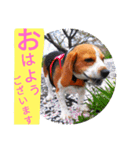 ココアちゃんねる2（個別スタンプ：22）