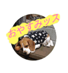 ココアちゃんねる2（個別スタンプ：23）