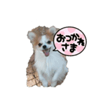 ゆうもこ＋レッド（個別スタンプ：6）