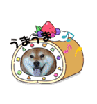 しゃなこはスタンプ3（個別スタンプ：2）