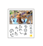 しゃなこはスタンプ3（個別スタンプ：19）