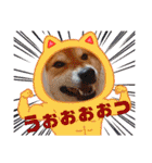 しゃなこはスタンプ3（個別スタンプ：26）