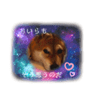 しゃなこはスタンプ3（個別スタンプ：28）