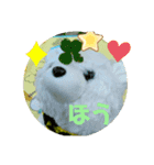 2022はるたろう2（個別スタンプ：8）