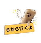 ポメラニアンくう＆るうの日常（個別スタンプ：4）