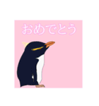 今日のペンギンシリーズ（個別スタンプ：4）