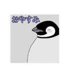 今日のペンギンシリーズ（個別スタンプ：7）