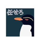 今日のペンギンシリーズ（個別スタンプ：10）