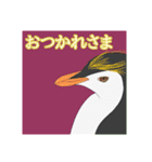 今日のペンギンシリーズ（個別スタンプ：12）