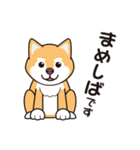 人気の可愛い子犬シリーズ（個別スタンプ：1）