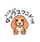 人気の可愛い子犬シリーズ（個別スタンプ：17）