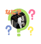 ほご猫たちをスタンプにしました！（個別スタンプ：4）