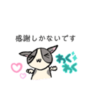 ほご猫たちをスタンプにしました！（個別スタンプ：18）