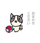 ほご猫たちをスタンプにしました！（個別スタンプ：19）