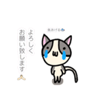 ほご猫たちをスタンプにしました！（個別スタンプ：20）