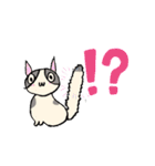ほご猫たちをスタンプにしました！（個別スタンプ：21）