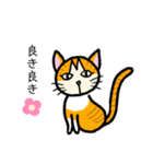 ほご猫たちをスタンプにしました！（個別スタンプ：22）