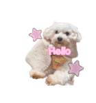 めいぽんまる2(ラッキーちゃんもいるよ)（個別スタンプ：3）