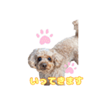 めいぽんまる2(ラッキーちゃんもいるよ)（個別スタンプ：7）