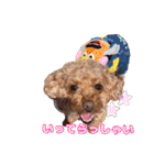 めいぽんまる2(ラッキーちゃんもいるよ)（個別スタンプ：8）