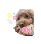 めいぽんまる2(ラッキーちゃんもいるよ)（個別スタンプ：13）