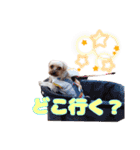 めいぽんまる2(ラッキーちゃんもいるよ)（個別スタンプ：25）