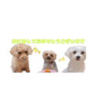 めいぽんまる2(ラッキーちゃんもいるよ)（個別スタンプ：40）