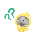 ハムスターのちくわ（個別スタンプ：6）