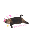 豆とあずき＋さくらのつぶやき（個別スタンプ：9）