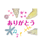岩ノ下ウツボ 2（個別スタンプ：11）
