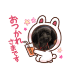 愛犬のももきっち（個別スタンプ：11）