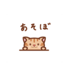 ひょっこりネコちゃん（個別スタンプ：1）