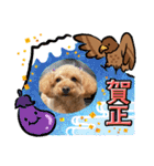 カトりんの日常♪⑥（個別スタンプ：14）