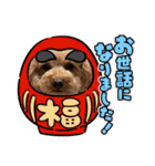 カトりんの日常♪⑥（個別スタンプ：21）