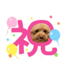 カトりんの日常♪⑥（個別スタンプ：24）