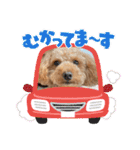 カトりんの日常♪⑥（個別スタンプ：28）