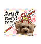 カトりんの日常♪⑥（個別スタンプ：29）