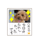 カトりんの日常♪⑥（個別スタンプ：30）