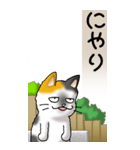 猫かわいい！その1（日常用）（個別スタンプ：9）