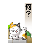 猫かわいい！その1（日常用）（個別スタンプ：13）