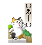 猫かわいい！その1（日常用）（個別スタンプ：17）